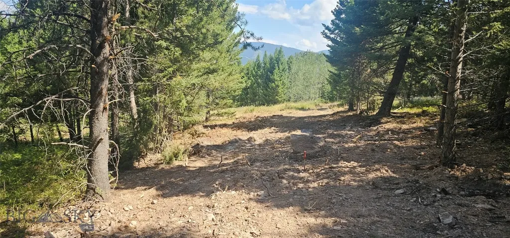 11 Tract, Hall Creek Helmville MT 59843