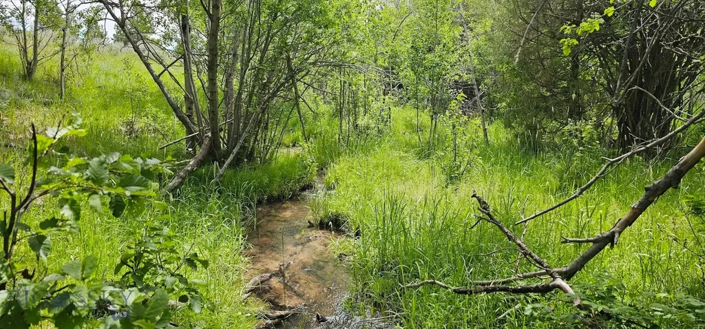 10 Tract, Hall Creek Helmville MT 59843