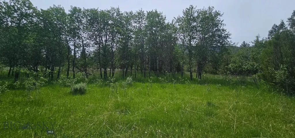 10 Tract, Hall Creek Helmville MT 59843