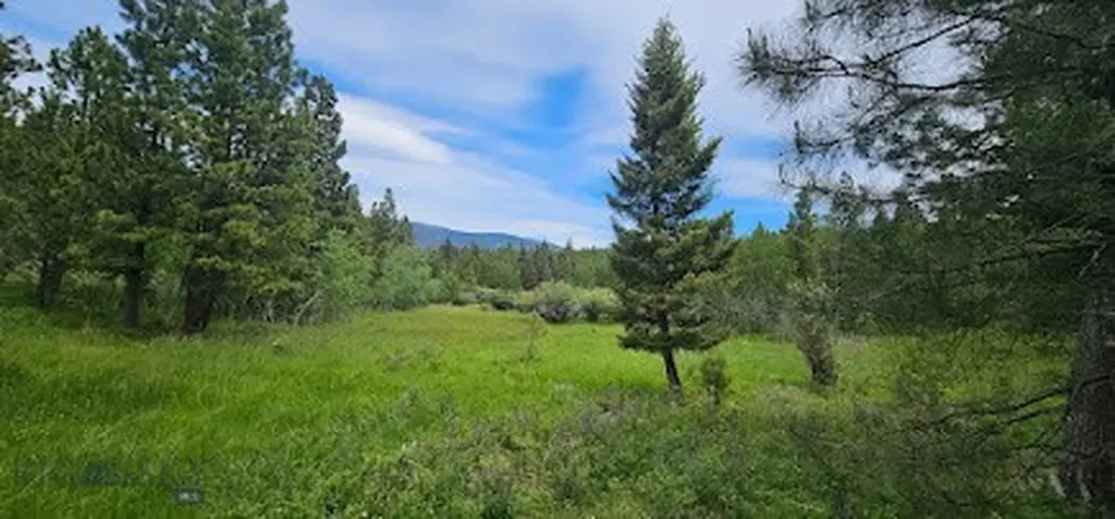 10 Tract, Hall Creek Helmville MT 59843