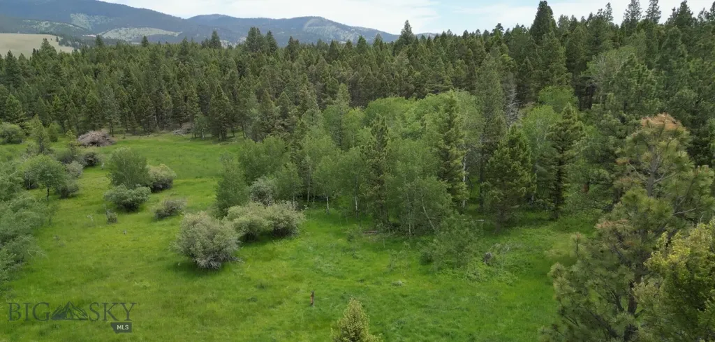 10 Tract, Hall Creek Helmville MT 59843