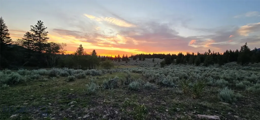 10 Tract, Hall Creek Helmville MT 59843