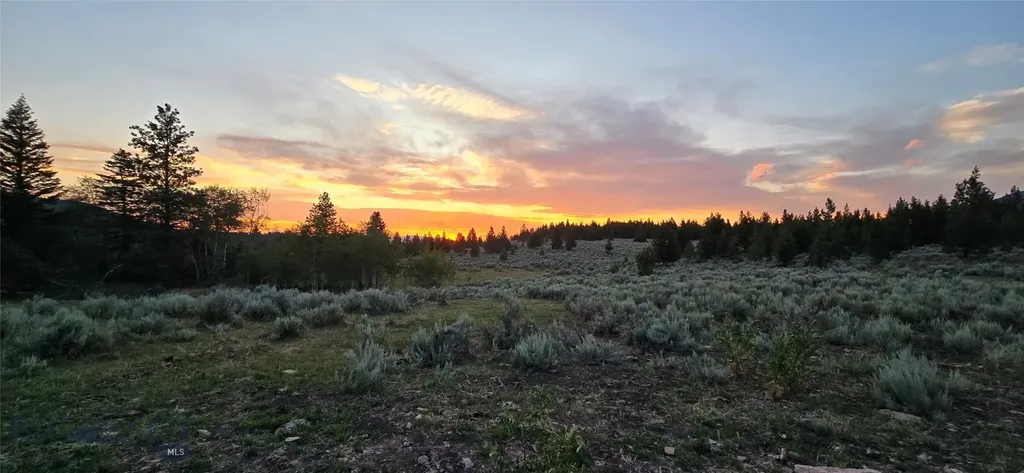 10 Tract, Hall Creek Helmville MT 59843