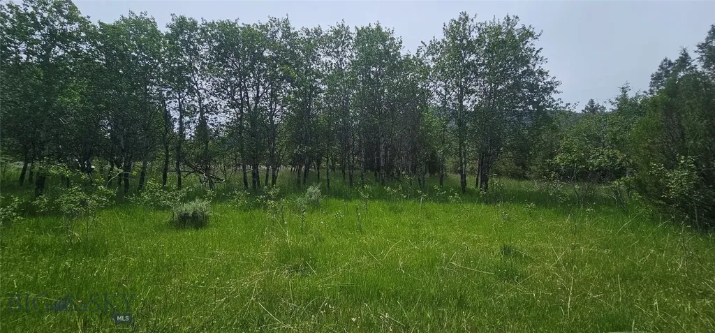 10 Tract, Hall Creek Helmville MT 59843