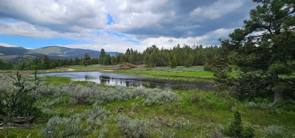 10 Tract, Hall Creek Helmville MT 59843