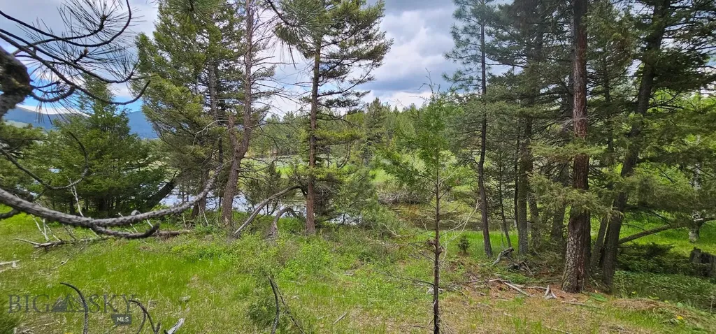 10 Tract, Hall Creek Helmville MT 59843