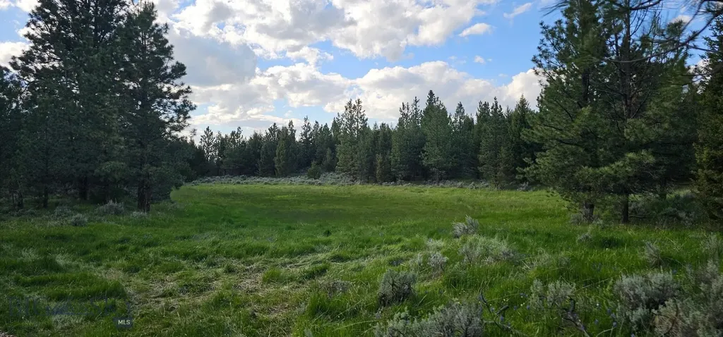 10 Tract, Hall Creek Helmville MT 59843