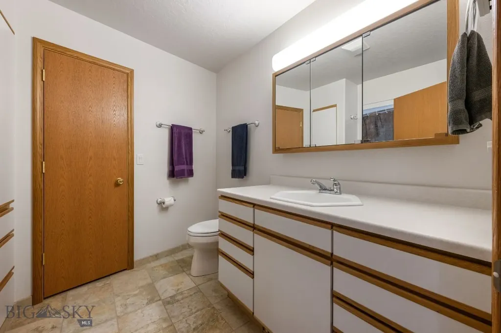 165 Badger Run Dillon MT 59725