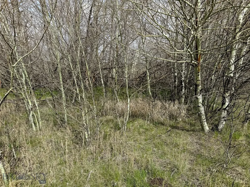 7615 Highway 2 Butte MT 59701