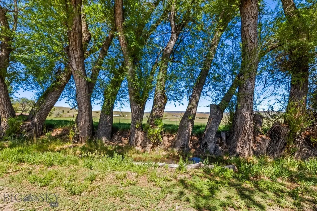 1301 Absaroka Court Livingston MT 59047