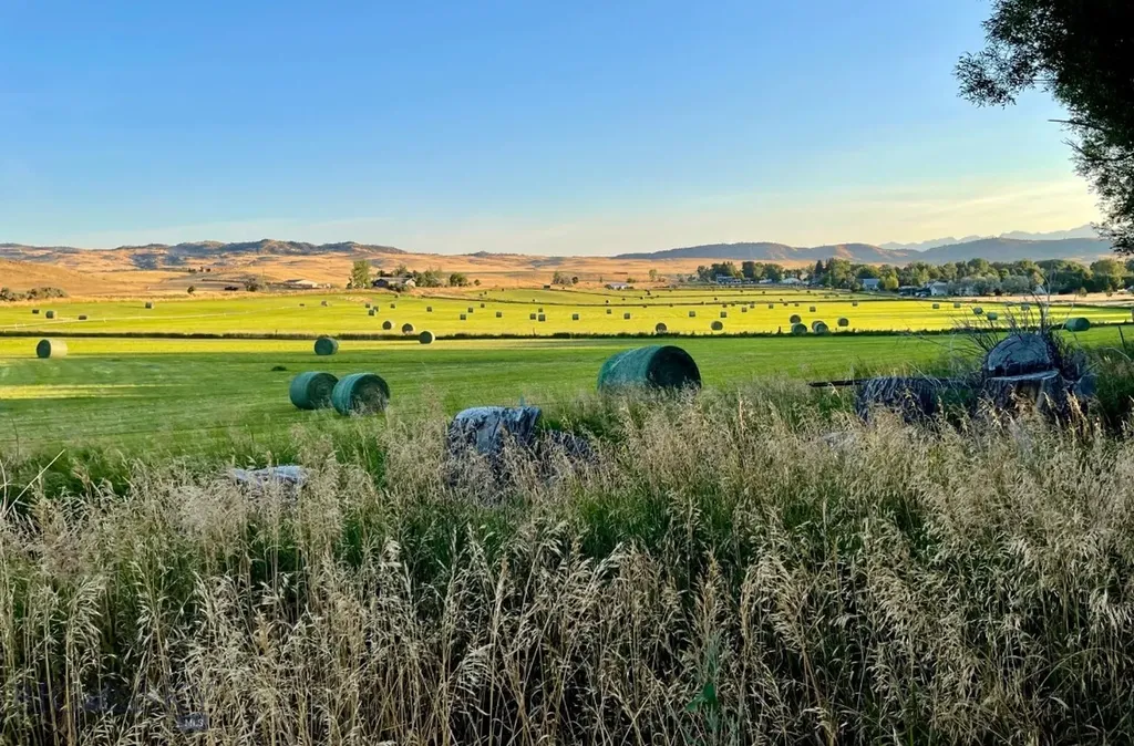 1301 Absaroka Court Livingston MT 59047