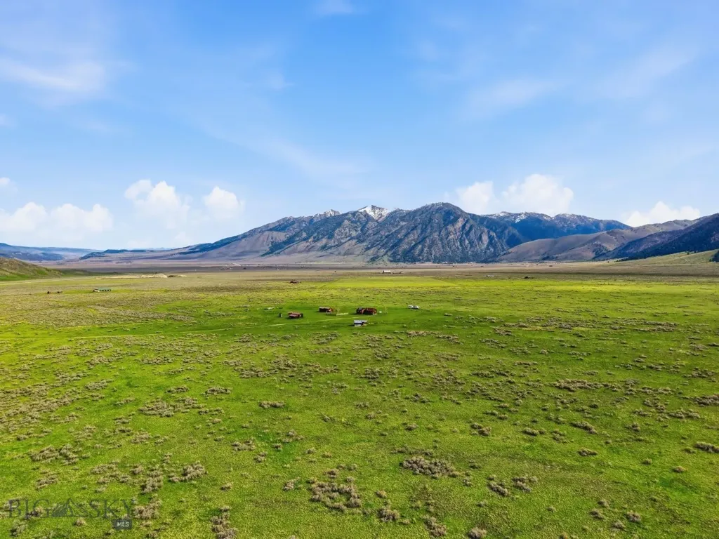 Tbd Mile Creek Road Cameron MT 59720
