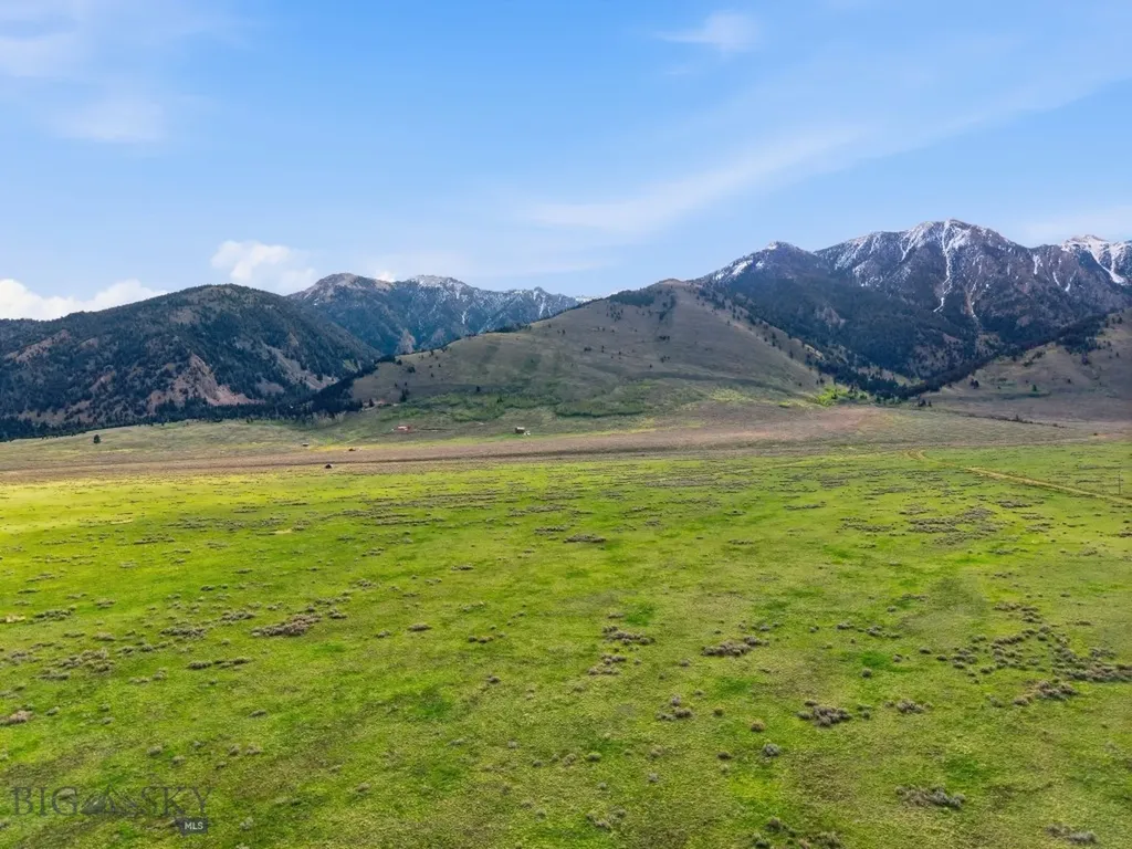 Tbd Mile Creek Road Cameron MT 59720
