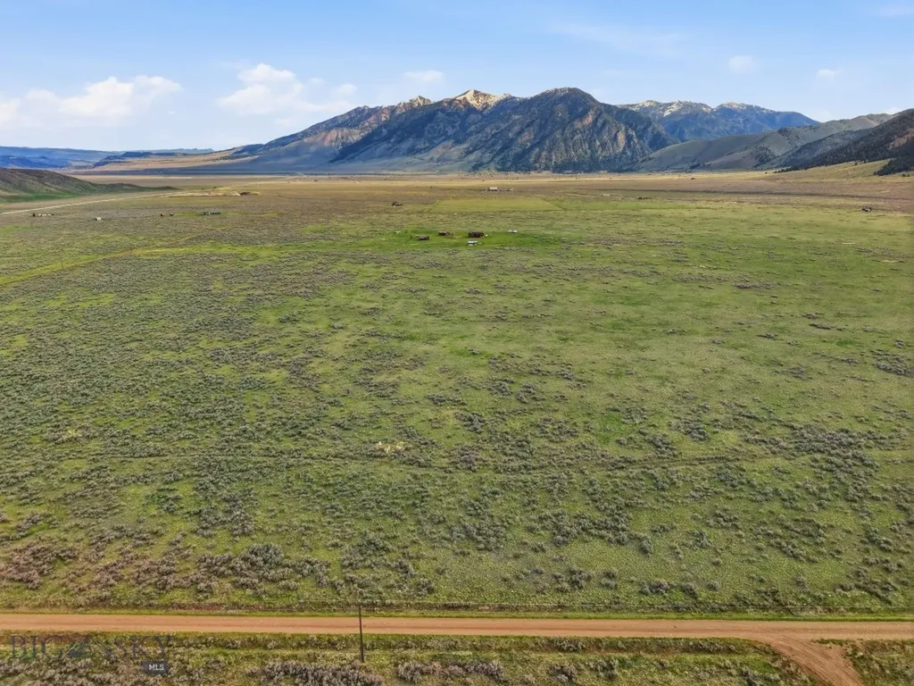 Tbd Mile Creek Road Cameron MT 59720
