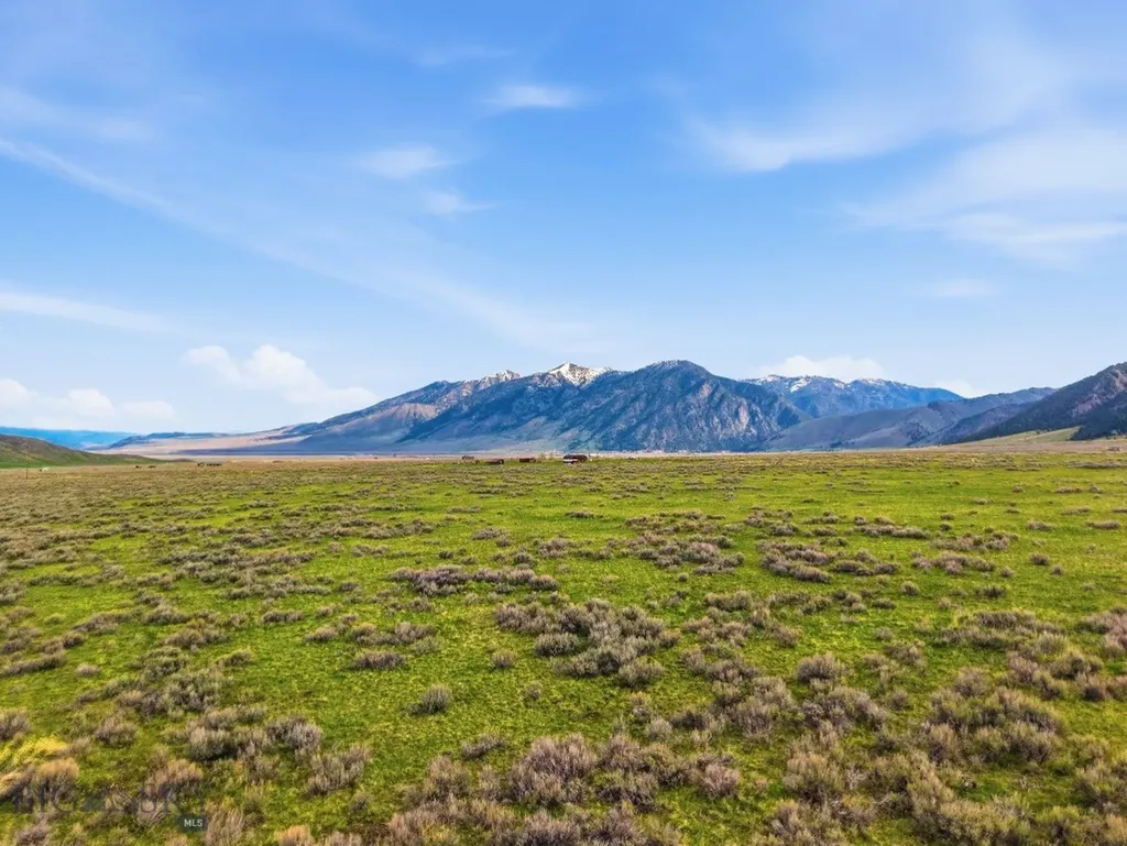 Tbd Mile Creek Road Cameron MT 59720