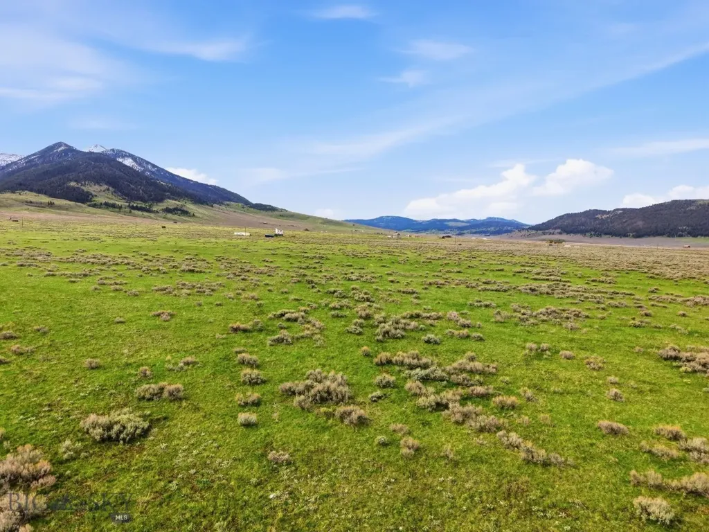 Tbd Mile Creek Road Cameron MT 59720