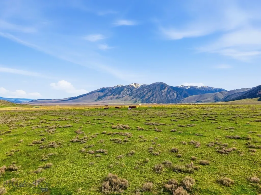 Tbd Mile Creek Road Cameron MT 59720