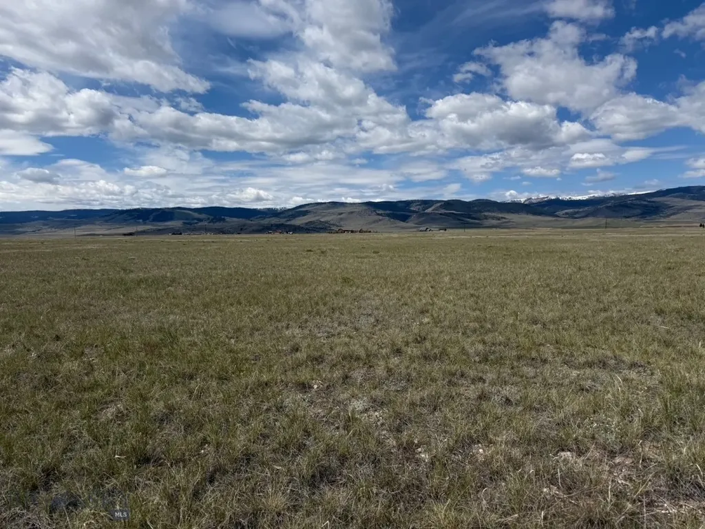 Lot 10 Olliffe Lane Cameron MT 59720