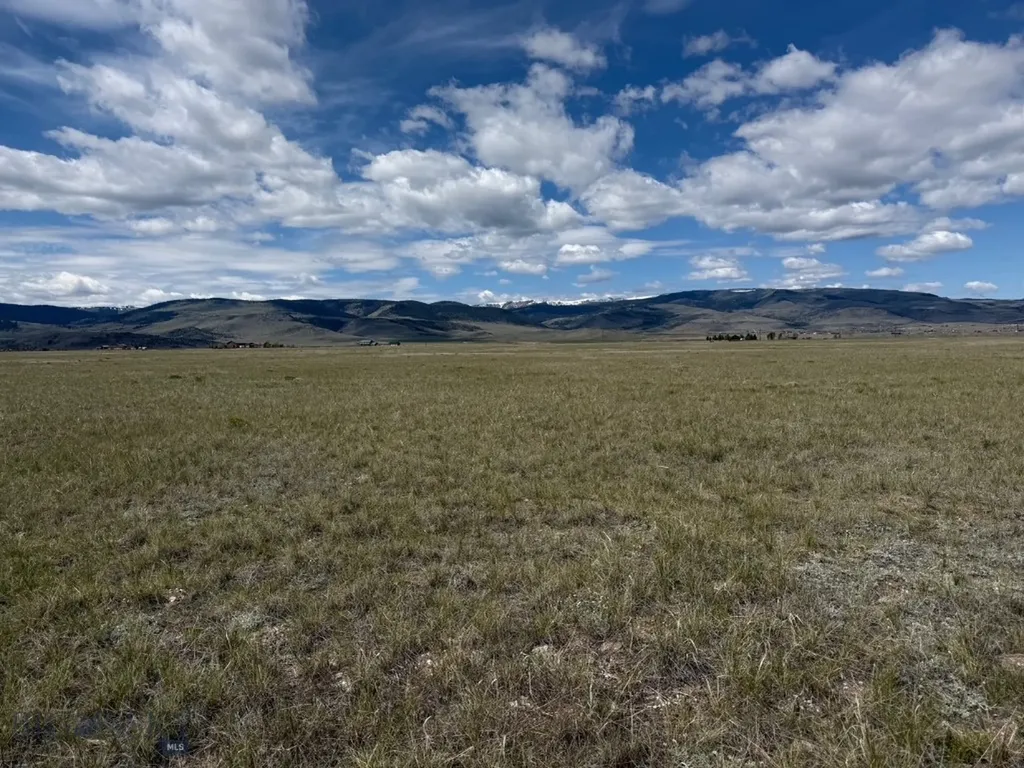 Lot 10 Olliffe Lane Cameron MT 59720