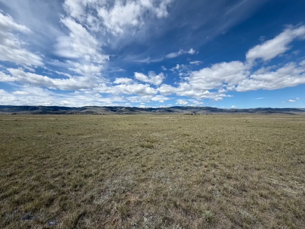 Lot 10 Olliffe Lane Cameron MT 59720