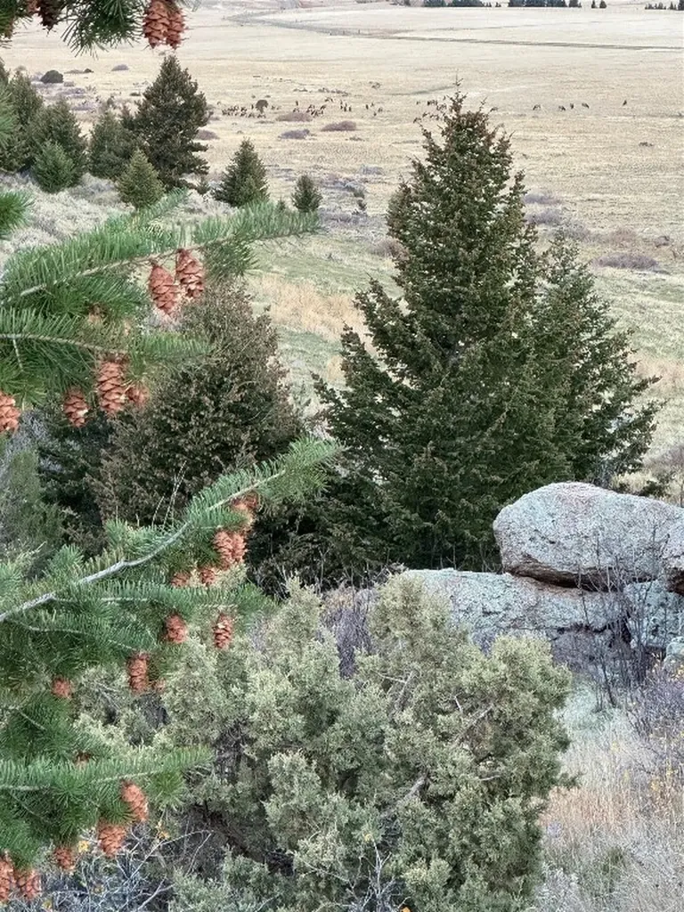 Tbd Heritage Trail Livingston MT 59047