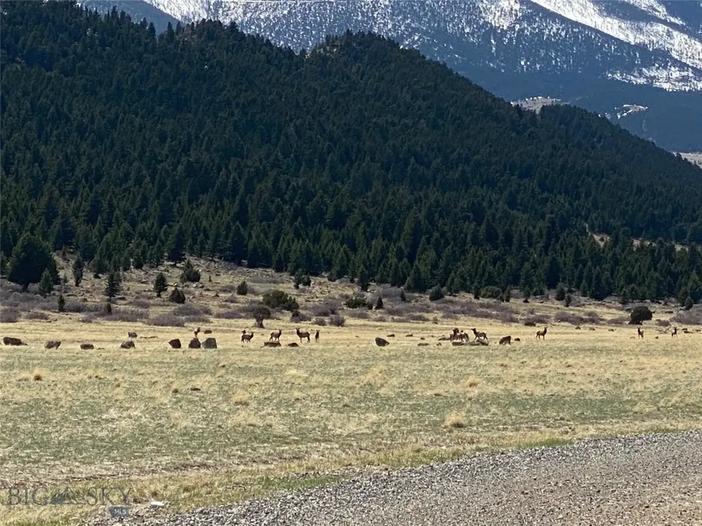 Tbd Heritage Trail Livingston MT 59047