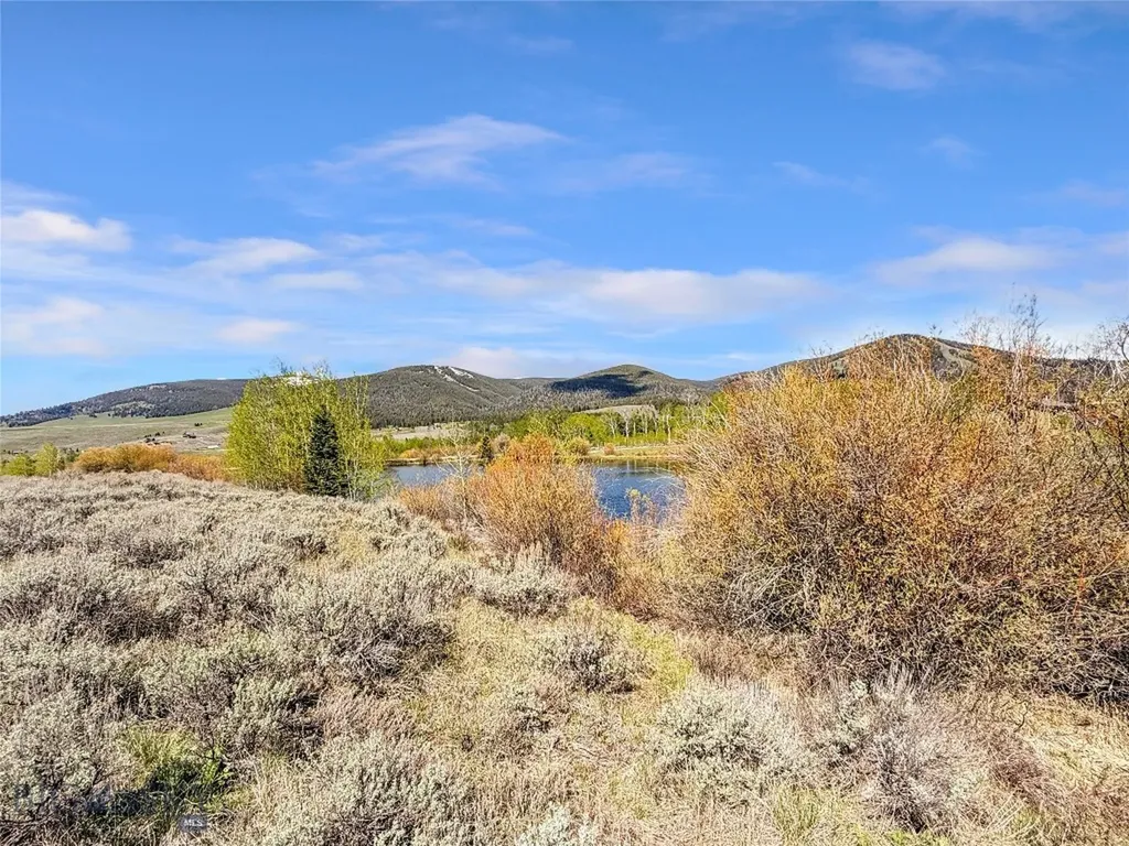 Lot 11 Clark Creek Road Polaris MT 59746