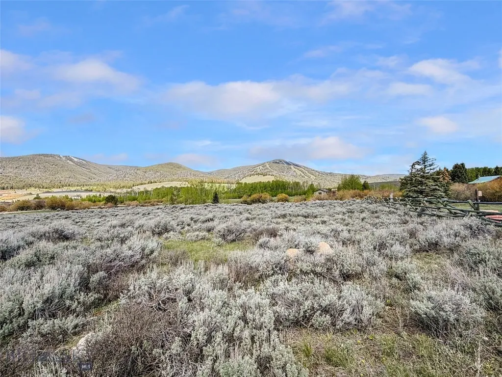 Lot 11 Clark Creek Road Polaris MT 59746