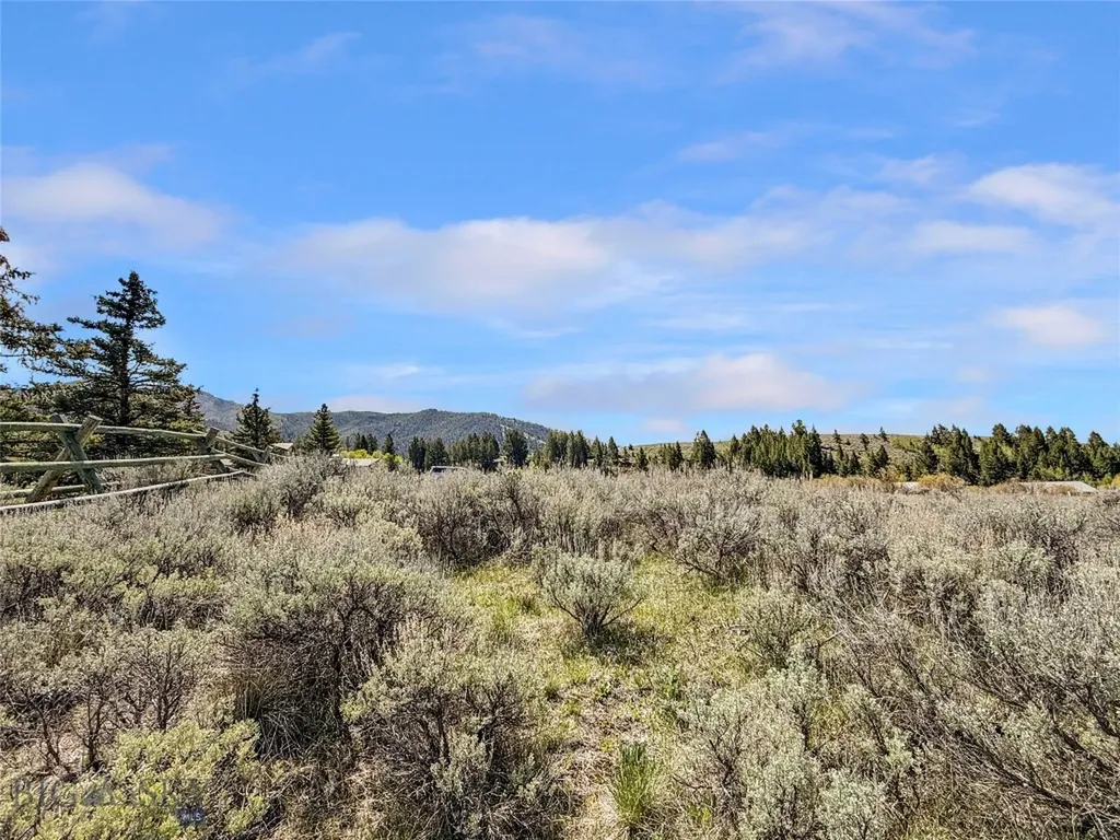 Lot 11 Clark Creek Road Polaris MT 59746