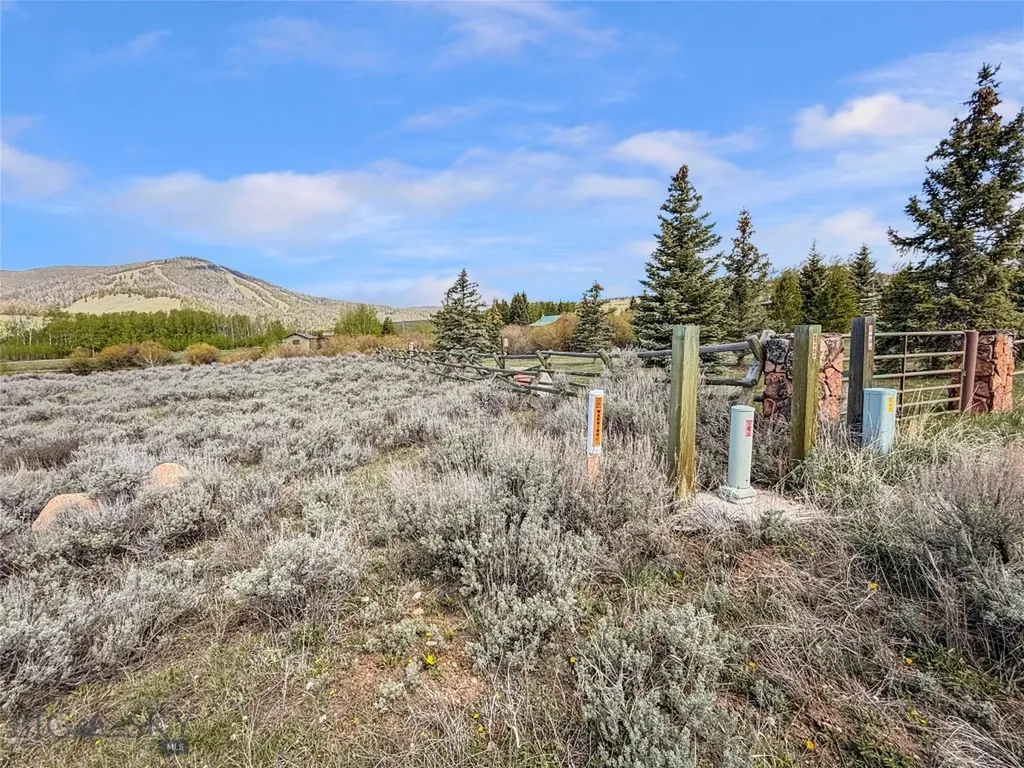 Lot 11 Clark Creek Road Polaris MT 59746