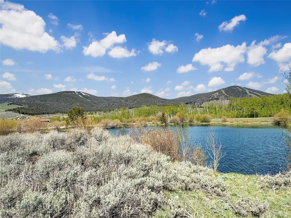 Lot 10 Clark Creek Road Polaris MT 59746