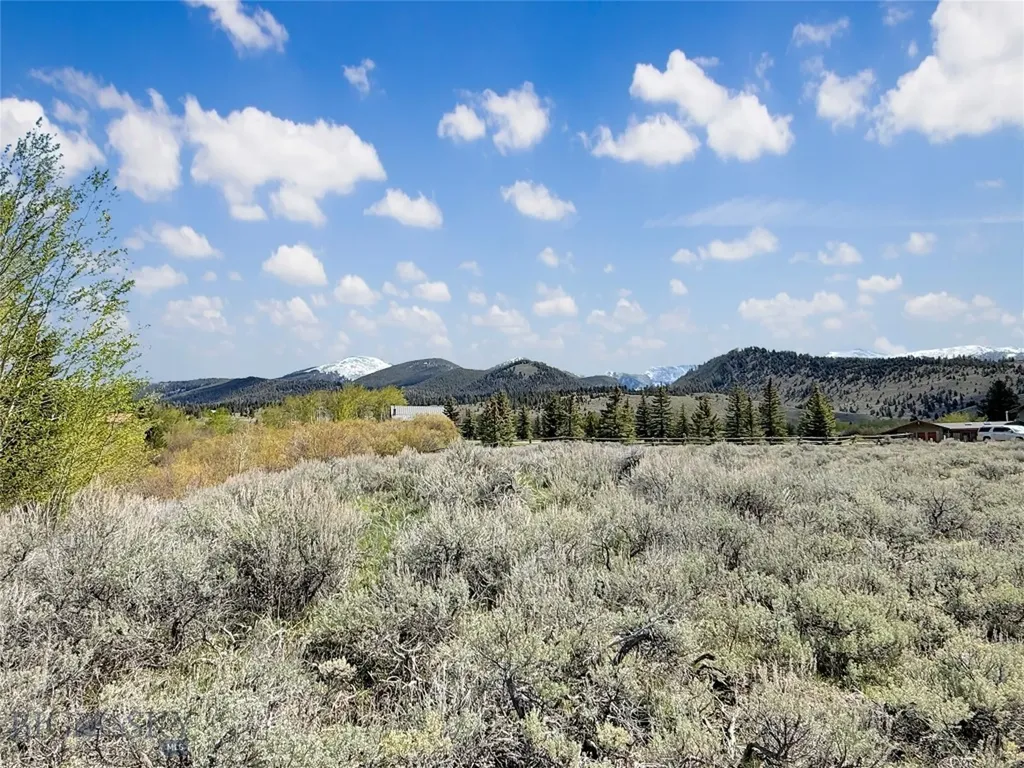 Lot 10 Clark Creek Road Polaris MT 59746