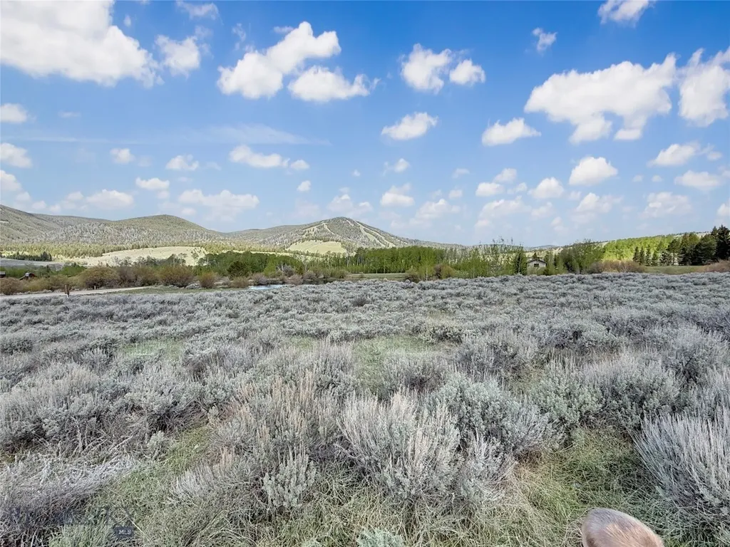 Lot 10 Clark Creek Road Polaris MT 59746