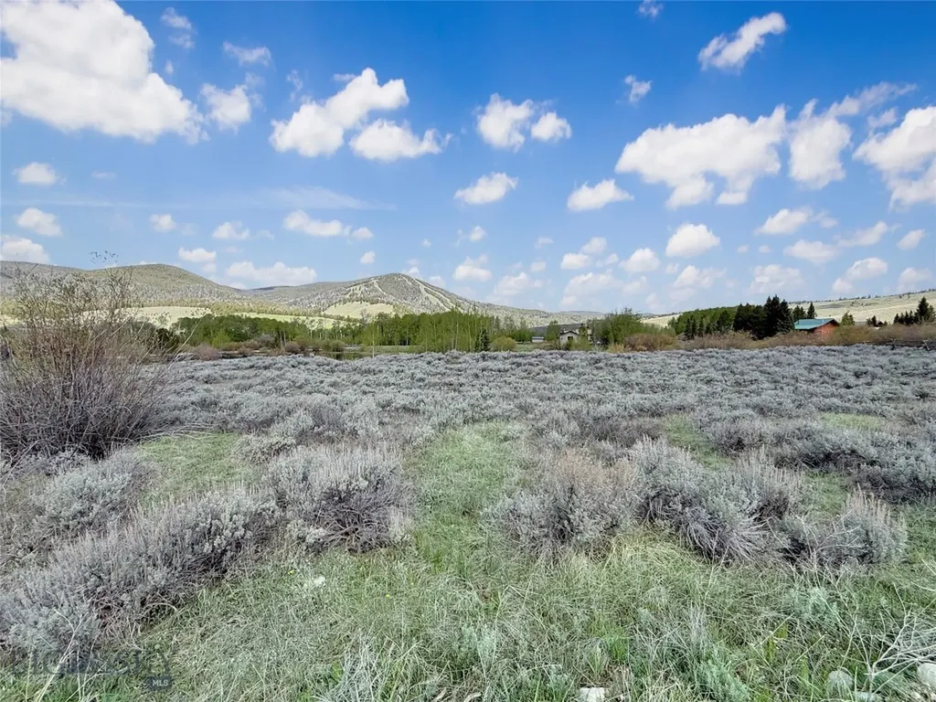 Lot 10 Clark Creek Road Polaris MT 59746