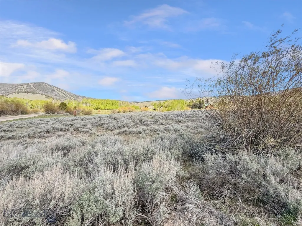 Lot 9 Clark Creek Road Polaris MT 59746