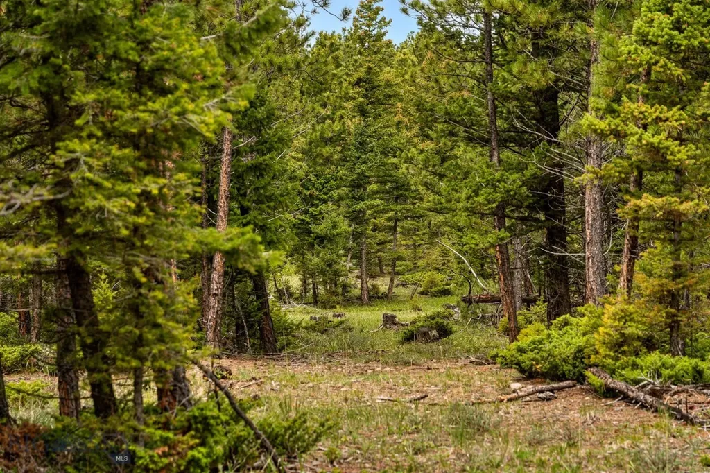 125 Golden Bear Lane Judith Gap MT 59453