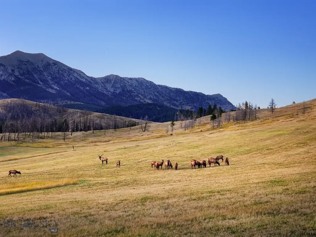 7180 Tepee Ridge Road Bozeman MT 59715