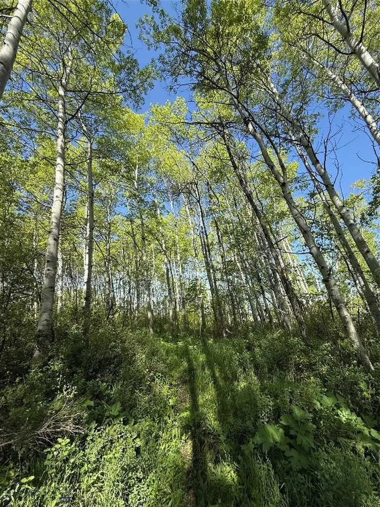 3030 Bridger Canyon Road Bozeman MT 59715
