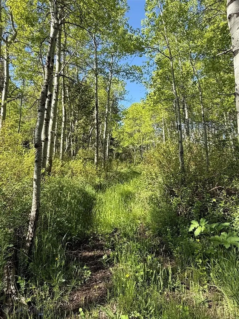 3030 Bridger Canyon Road Bozeman MT 59715
