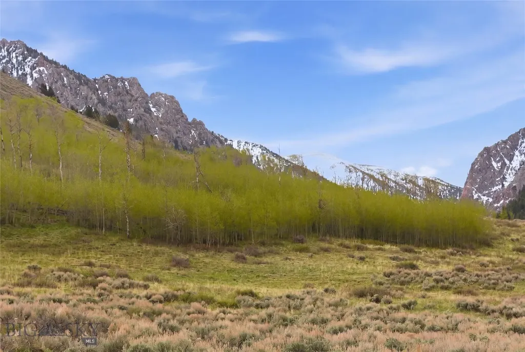 224 Slide Rock Road Cameron MT 59720