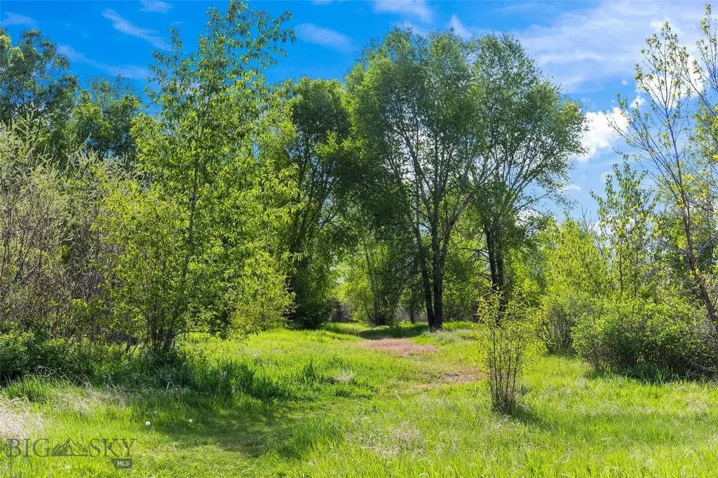 2720 Outlaw Drive Belgrade MT 59714