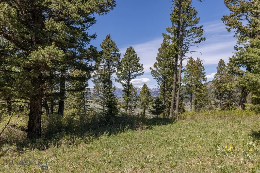 15 Ac Elk Ridge Road Livingston MT 59047