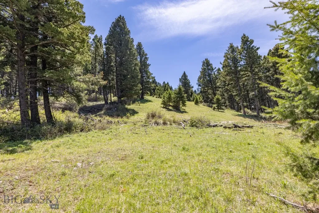 15 Ac Elk Ridge Road Livingston MT 59047