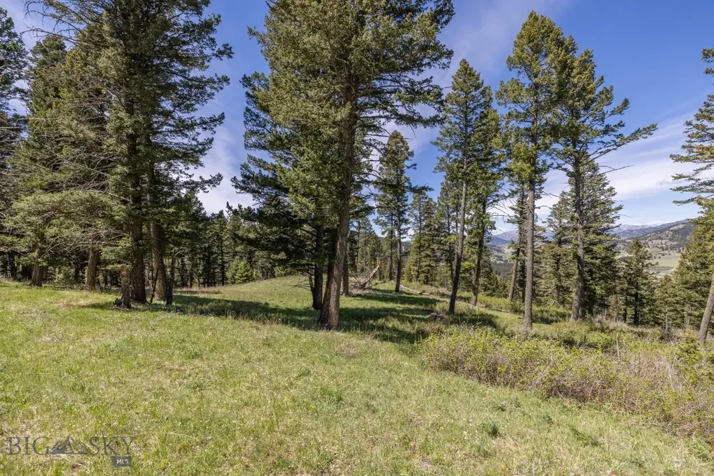 15 Ac Elk Ridge Road Livingston MT 59047