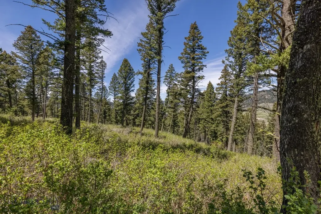 15 Ac Elk Ridge Road Livingston MT 59047