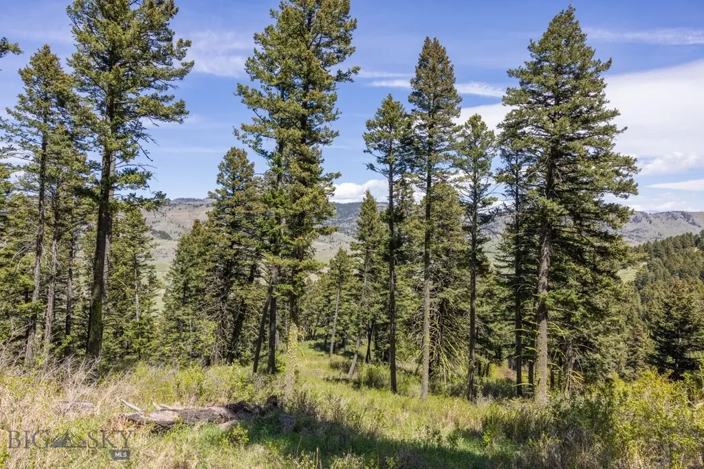 15 Ac Elk Ridge Road Livingston MT 59047