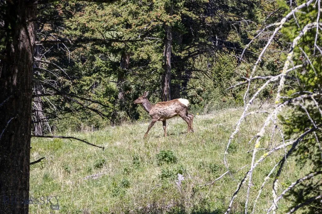 15 Ac Elk Ridge Road Livingston MT 59047