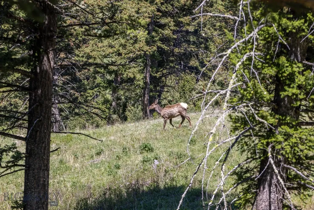 15 Ac Elk Ridge Road Livingston MT 59047