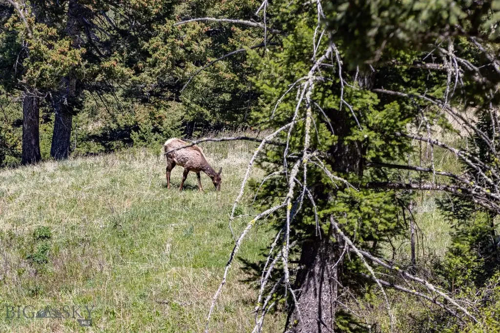 15 Ac Elk Ridge Road Livingston MT 59047