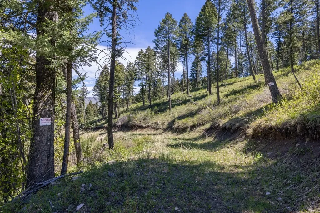 15 Ac Elk Ridge Road Livingston MT 59047
